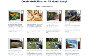 Bee City USA Asheville Events Schedule for Pollinator Month